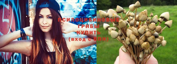стафф Остров